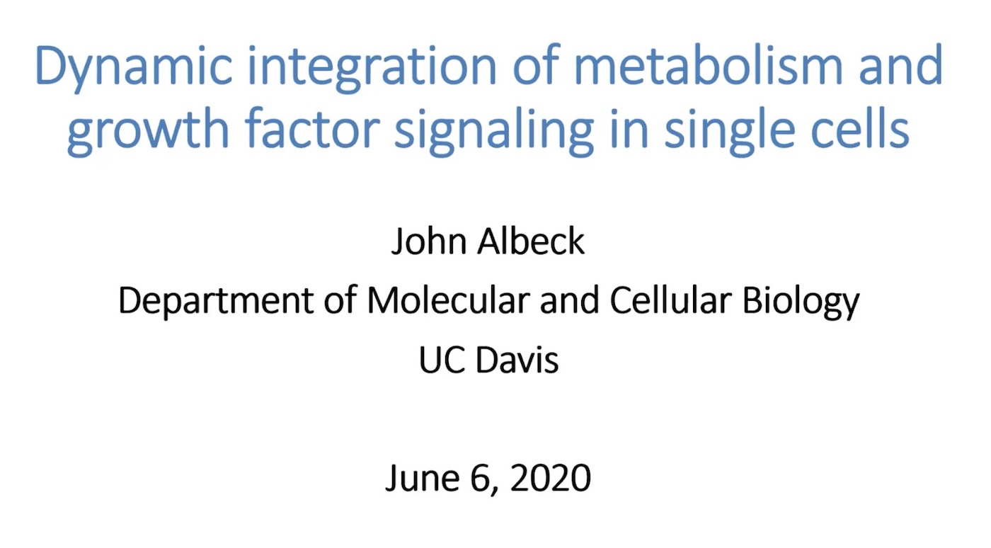 6th July 2020: 'Dynamic integration of metabolism and growth factor signaling in single cells' - John Albeck, UC Davis, Davis, USA's image