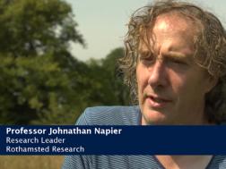 Prof Johnathan Napier - Fish oils and seeds for healthy foods's image