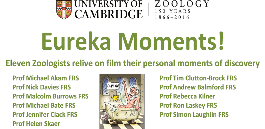 Eureka Moments Trailer's image