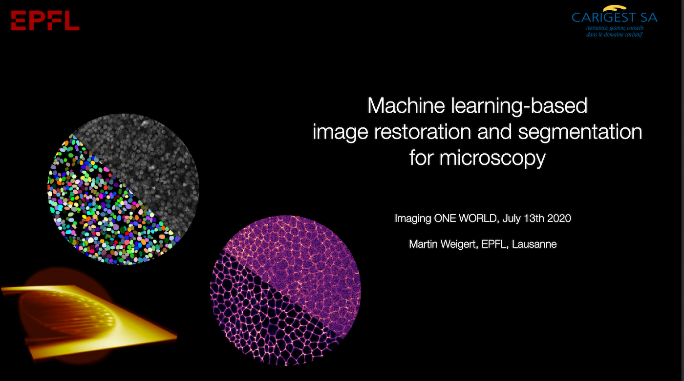 13th July 2020: ‘Computational Methods for Visualization, Simulation, and Restoration Microscopy Data’ – Martin Weigert, EPFL, Lausanne, Switzerland's image