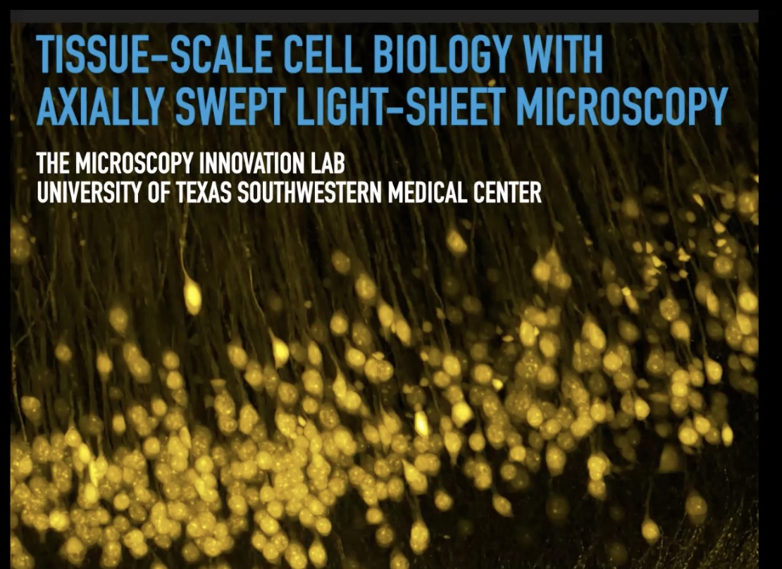 20th July 2020: 'Tissue-Scale Cell Biology with Axially Swept Light-Sheet Microscopy' - Kevin Dean,'s image