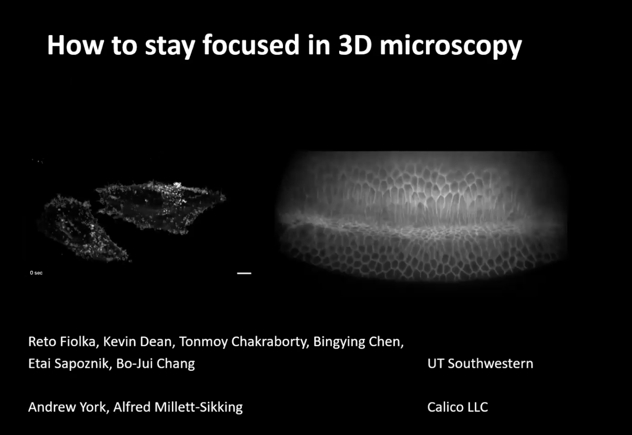27th July 2020: 'How to stay focused in 3D microscopy' - Reto Fiolka, 's image